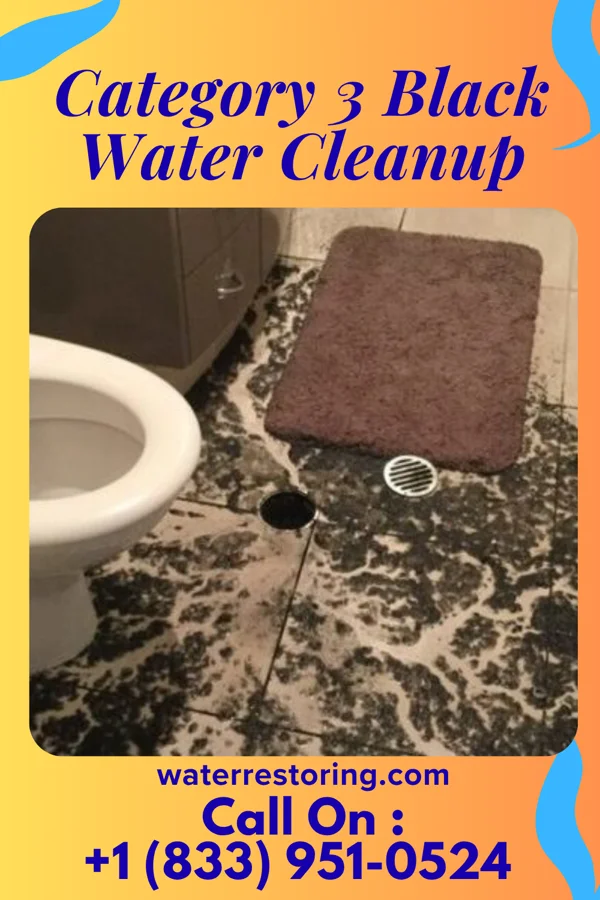 Category 3 Black Water Cleanup in Kanawha, IA